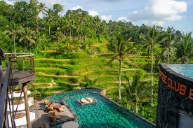 Peaceful jungle pathway winding through terraced fields near Ubud